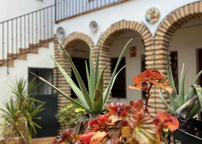 El Rincon Del Pintor