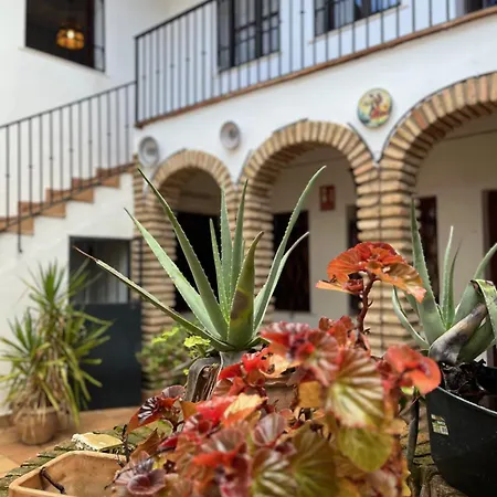 El Rincon Del Pintor